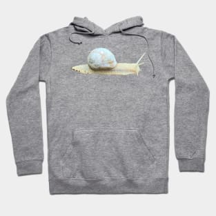 Snail Hoodie